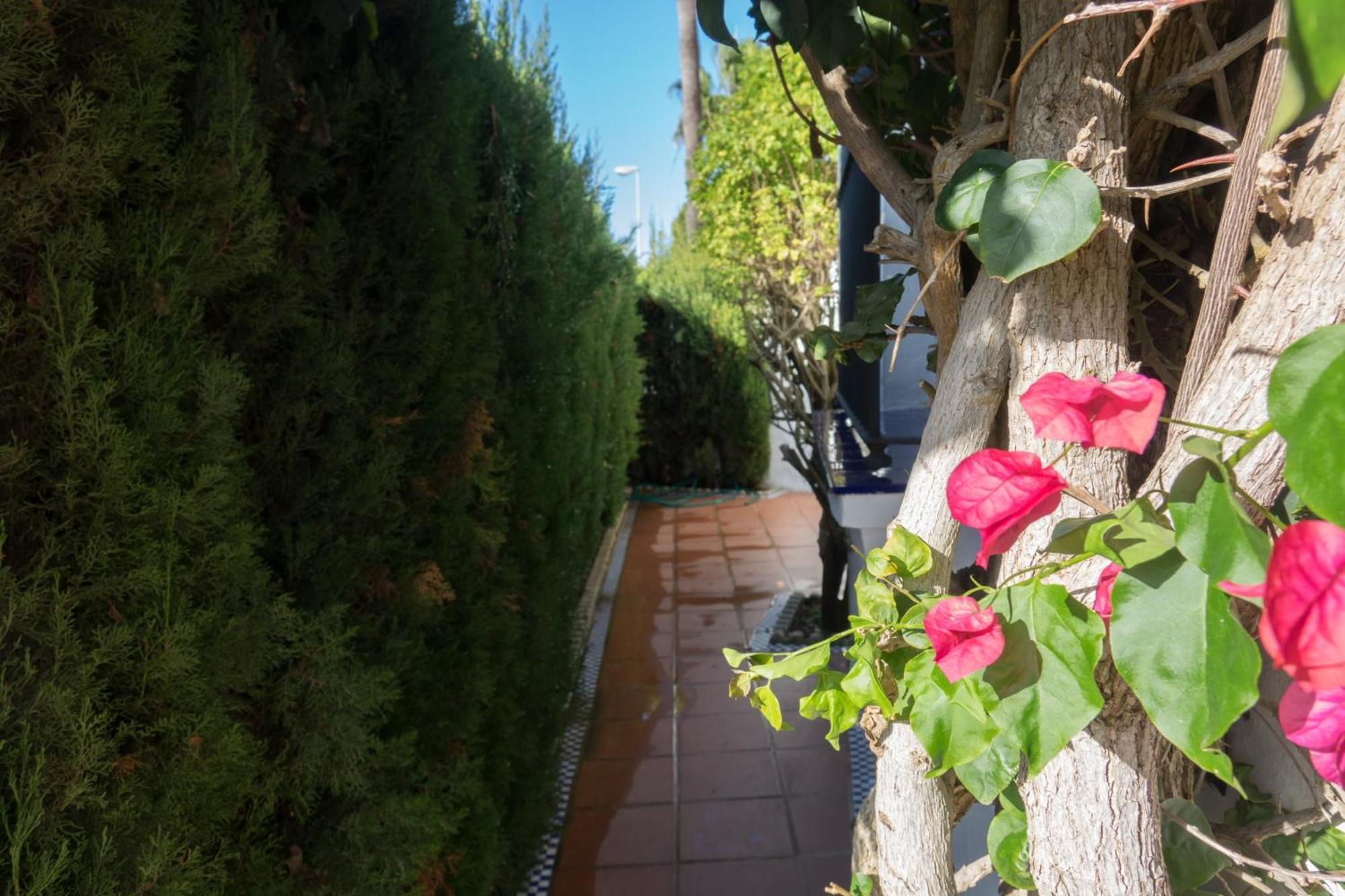 Apartamento Alextia La Barrosa Chiclana de la Frontera Exterior photo